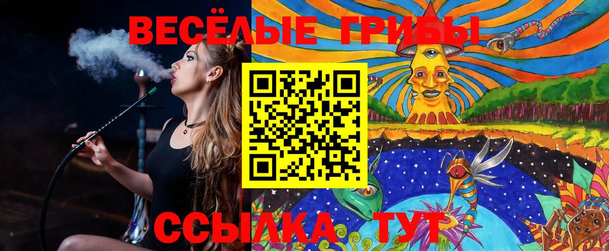 Ишимбай  Галлюциногенные грибы Psilocybe  Вход с VPN  Галлюциногенные грибы Psilocybine cubensis 