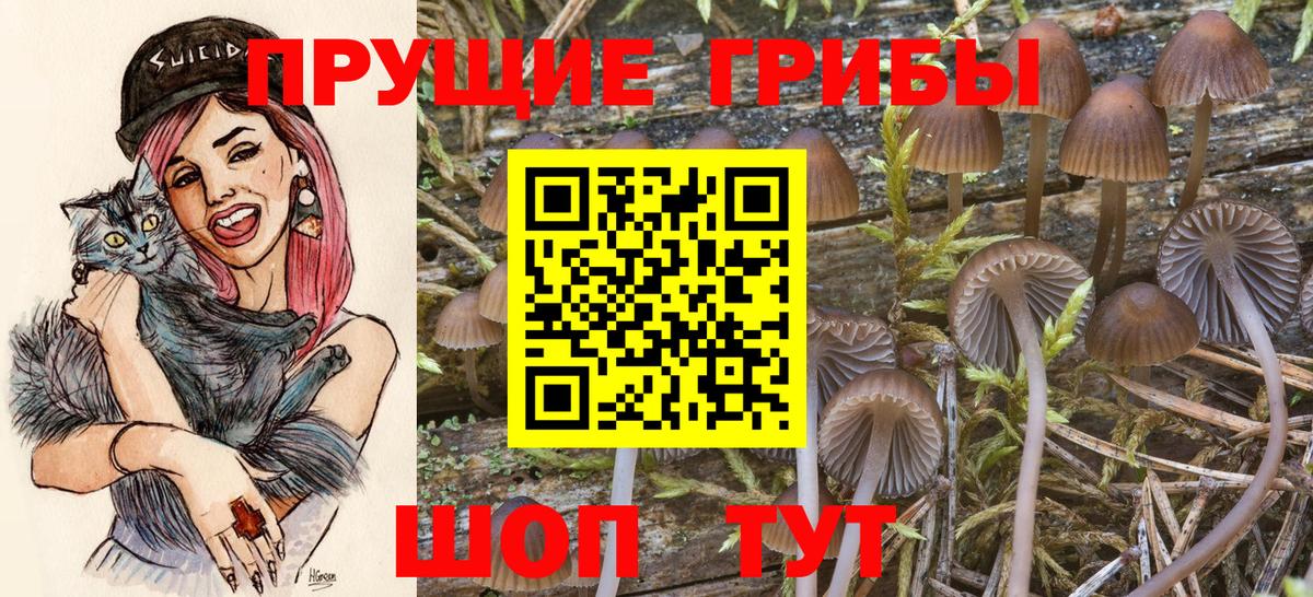 Псилоцибиновые грибы Magic Shrooms Ишимбай